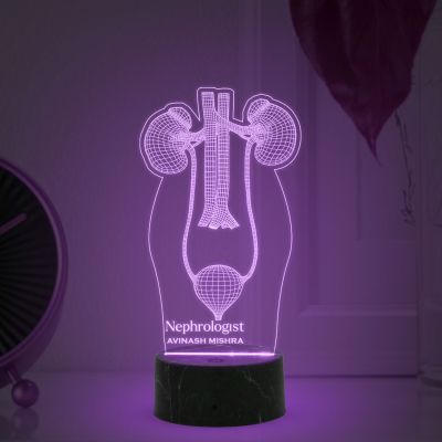 3D Illusion Kidney Led Lamp Nephrologist Kidney Light Multicolored Night Light with Remote Control
